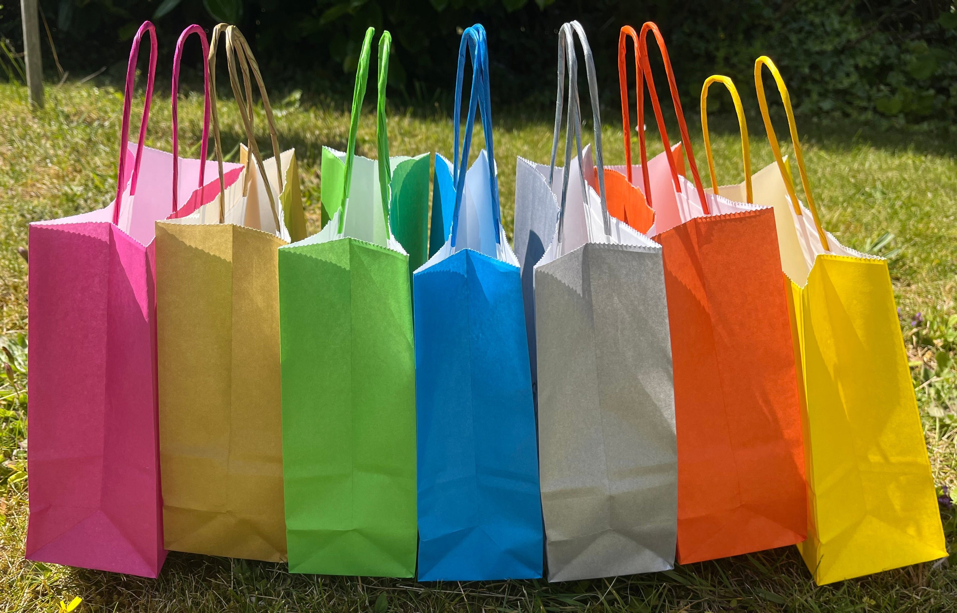A row of bright and colourful party bags sit on a sunny grassy spot - pink, gold, green, blue, silver, orange and yellow.
