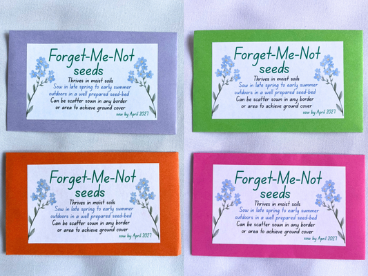 Forget Me Not Seed Packet