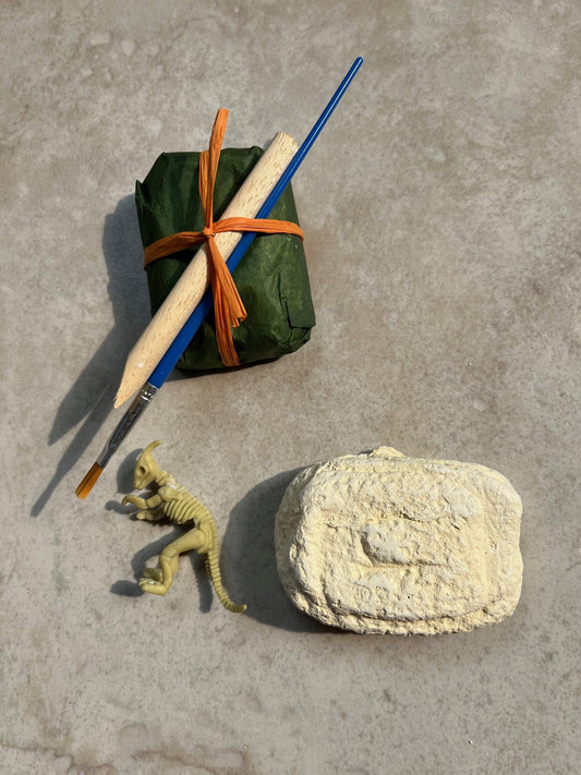 A Parasaurolophus dinosaur skeleton lying next to a plaster block. Sitting nearby is a rectangular block wrapped in green tissue paper and tied with orange raffia. Attached is a paintbrush and wooden pointed stick.